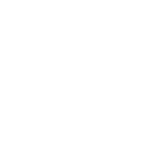 Macaw Gaming logo.