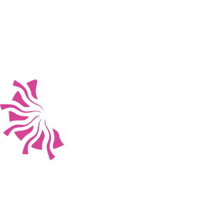 Zephyr logo.